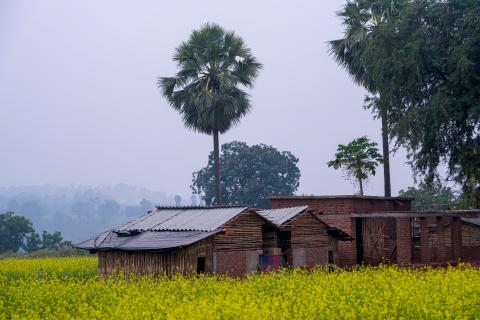 Village  House